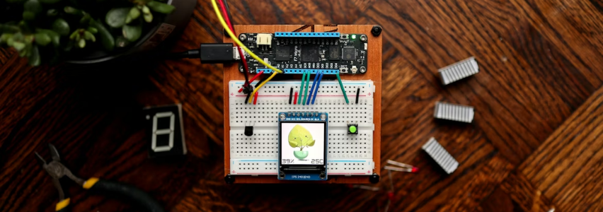 IoT (Internet of Things)